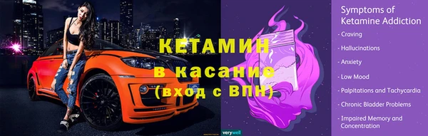 стафф Алексин