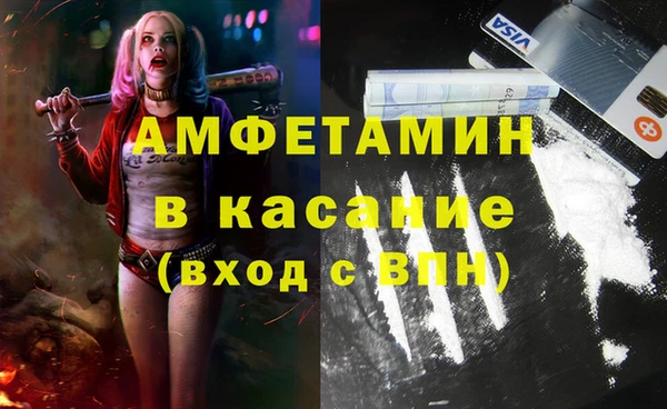 стафф Алексин