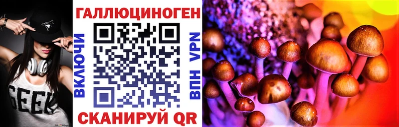 Галлюциногенные грибы Cubensis  сколько стоит  Аксай 